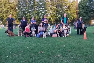 presentation wapidog centre education canine blandain