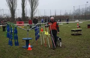 presentation wapidog centre education canine blandain