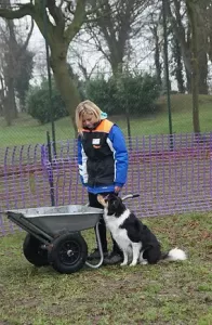 presentation wapidog centre education canine blandain