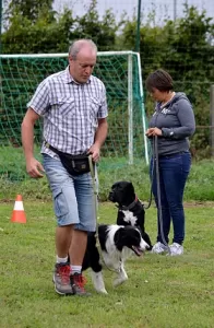 presentation wapidog centre education canine blandain