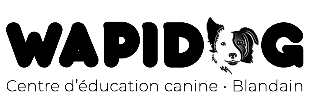 wapidog centre education canine blandain