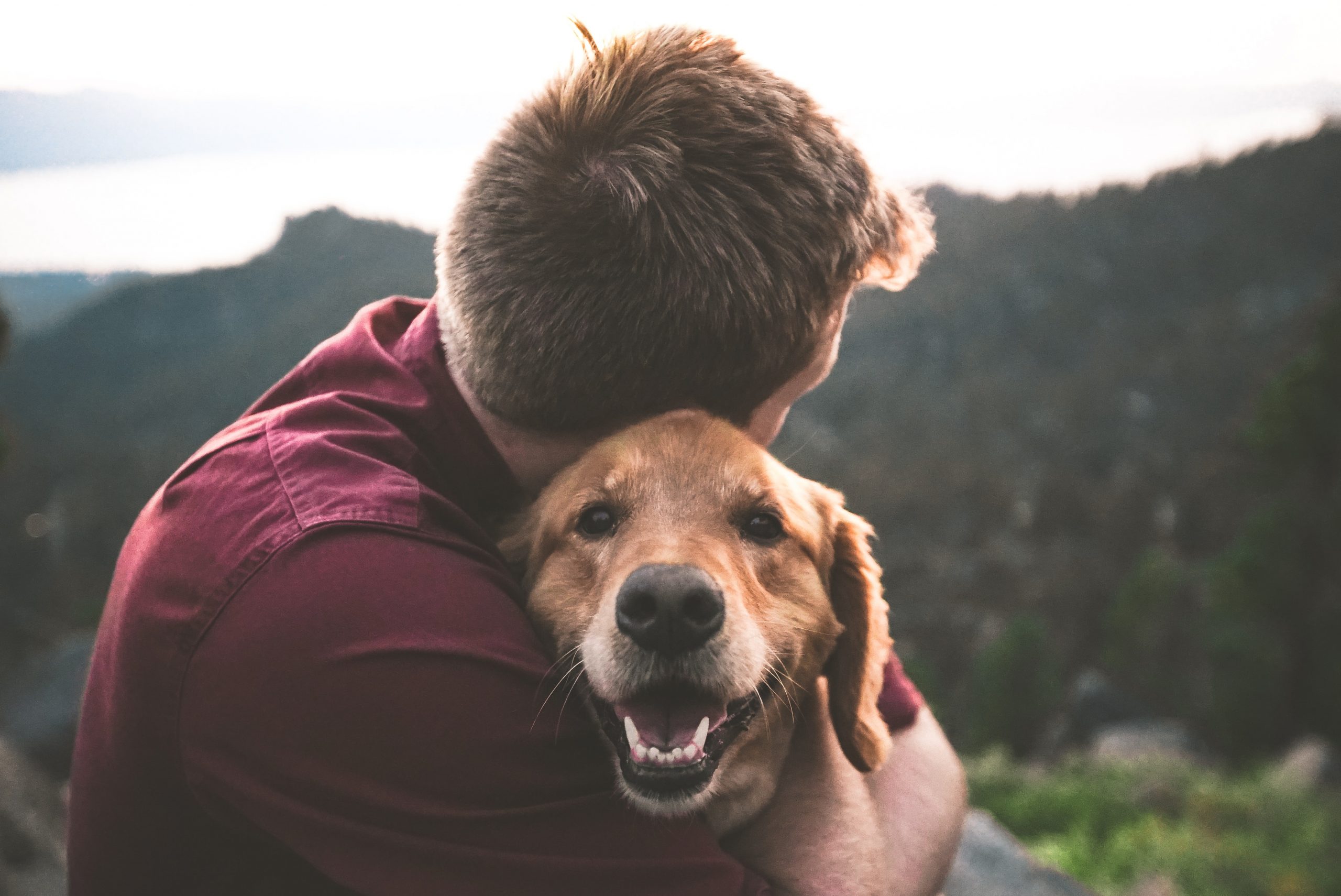 chien homme calin